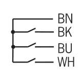 EUCHNER Read Heads CMS ;  CMS-R-EXL-05V ;085742 - slika 3
